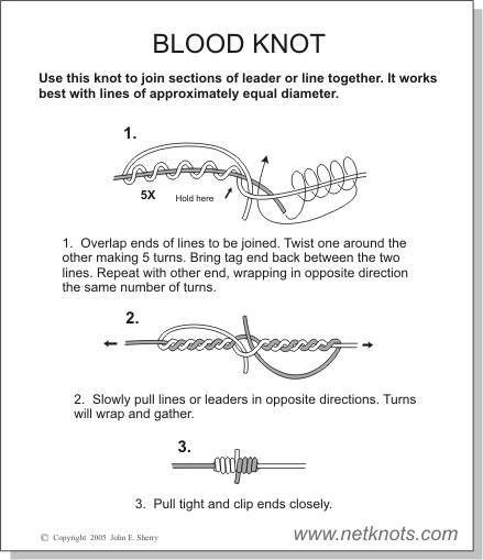 Blood knots best sale