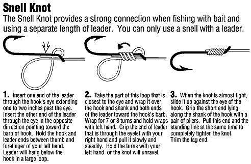 snell knot circle hook